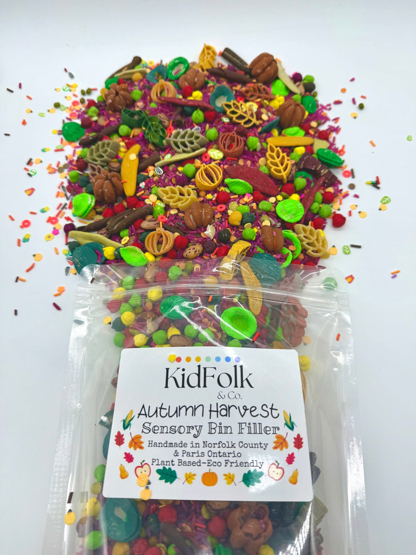 Autumn Harvest-Sensory Bin Filler-XLRG