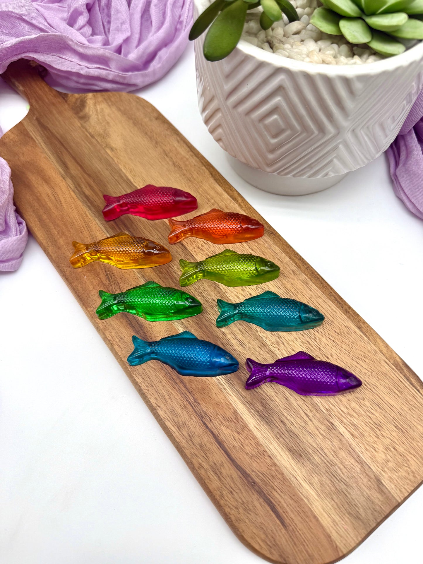 Rainbow Fish